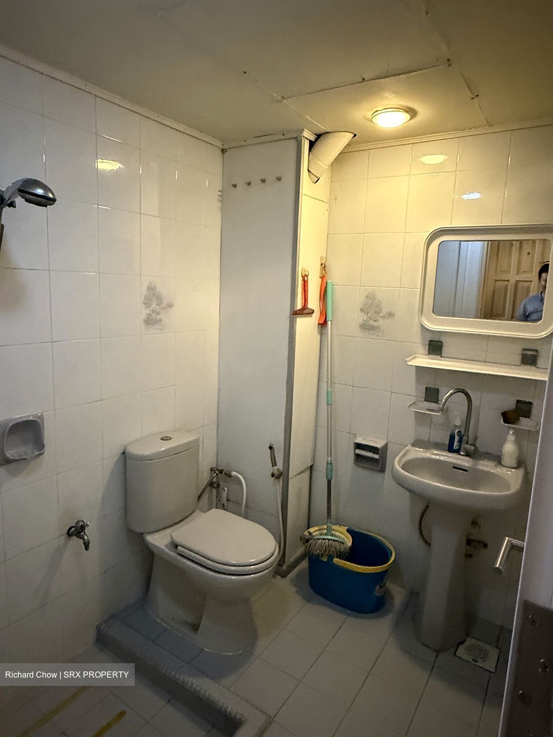 Ivory Heights (D22), Condominium #532891431